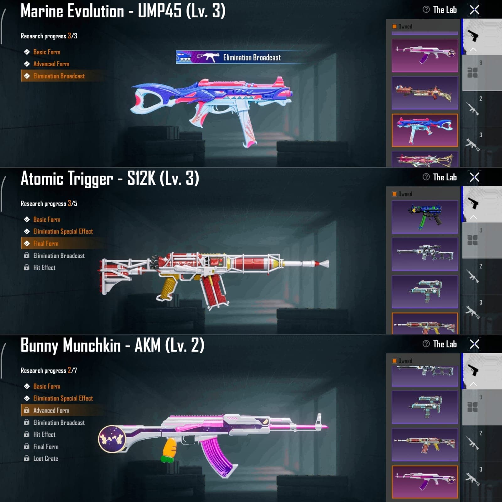 9 Weapon Lab & M4 Glacier Lvl. 3 + Helm Glacier - 2
