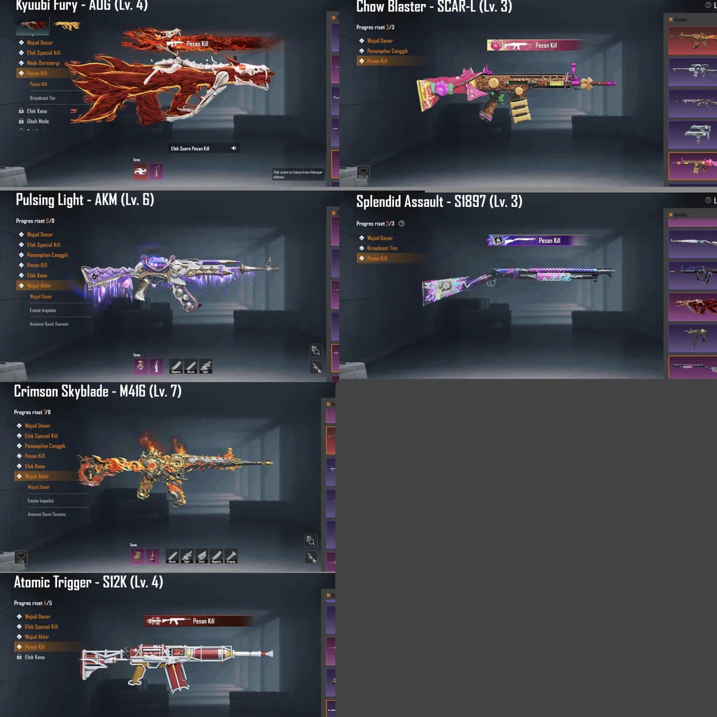 Acc Old S2, Helm Inferno, M4 Skyblade Max,aug Kyuuby, Border Comqueor - 6